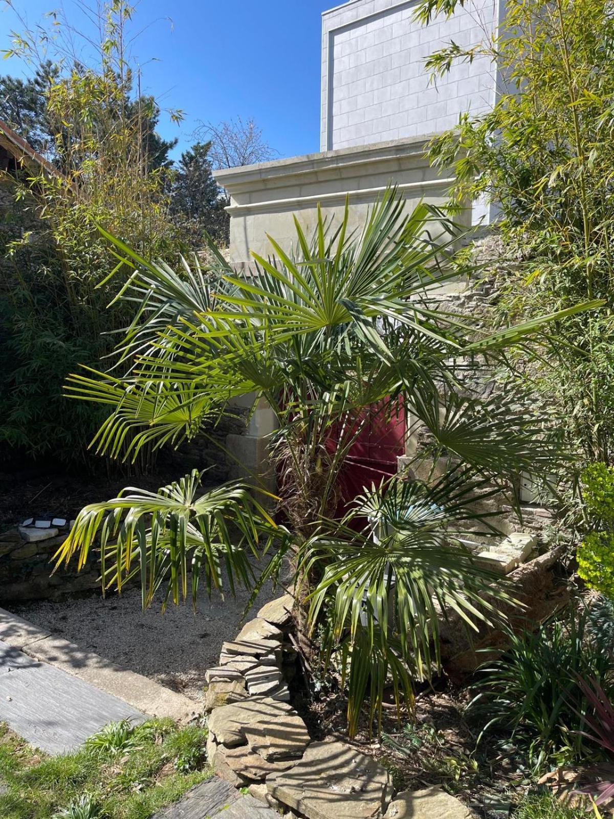 Le pigeonnier de la plume Villa Nantes Eksteriør billede